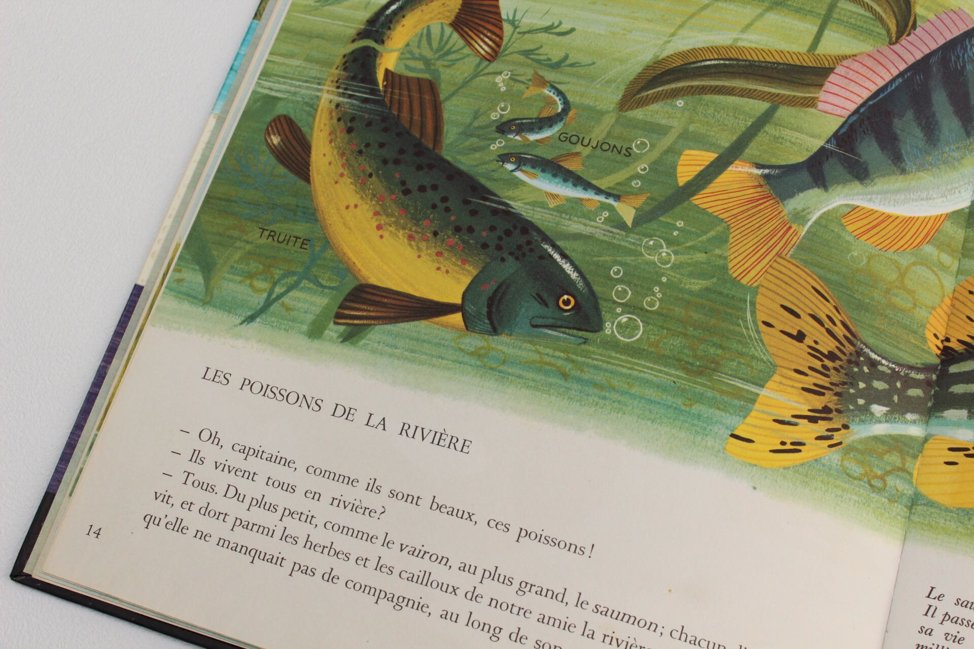 La RIVIÈRE 1971 Livre vintage en FRANÇAIS de Alain Grée Etsy.de