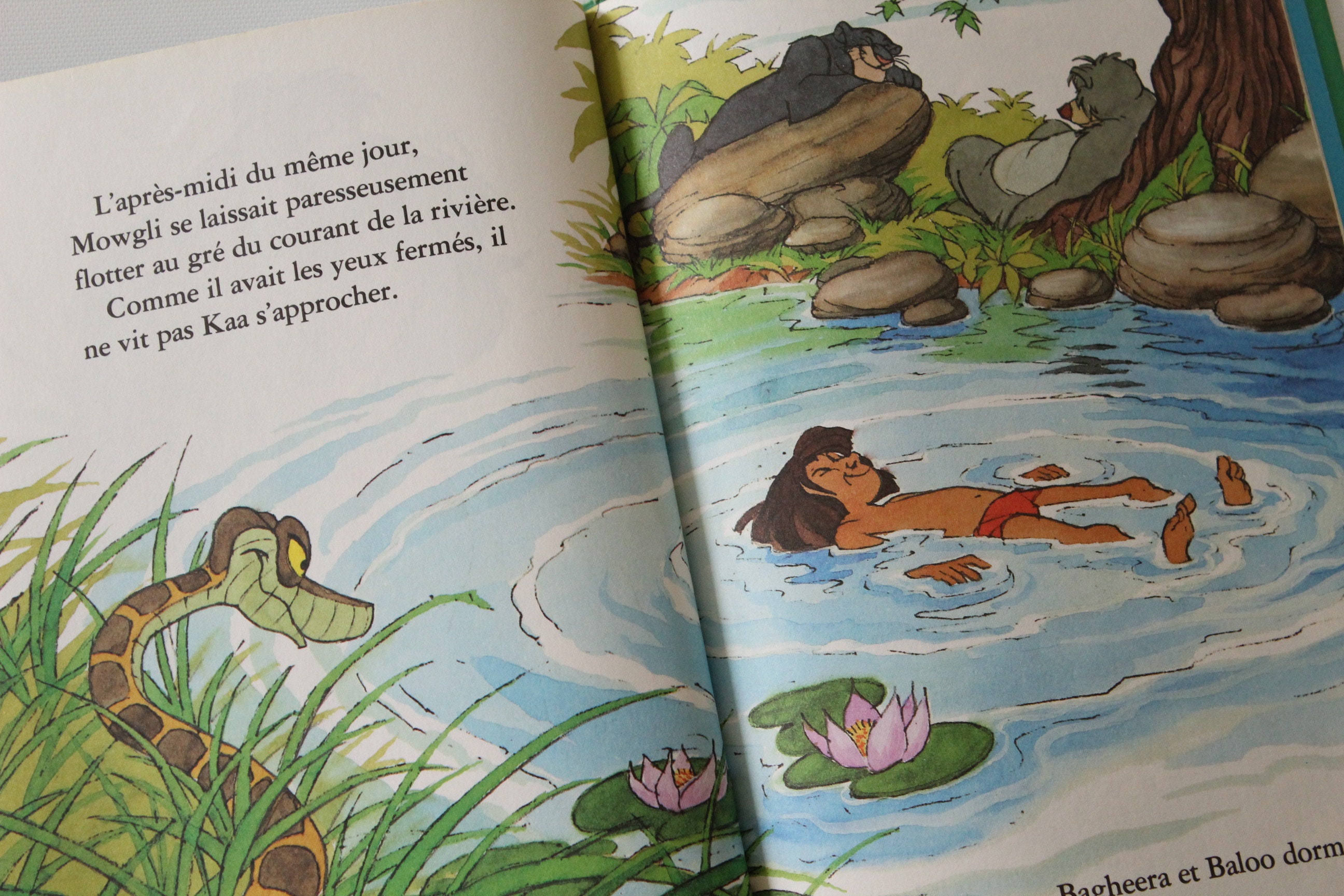 Le livre de la jungle - Walt Disney - France Loisirs 1979 [Etat