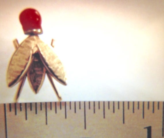 Rare Victorian 14k Gold Salmon Coral Fly Insect P… - image 4