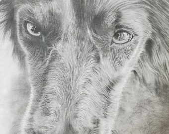 Hand Drawn Pet Portrait | Custom Pet Portrait | Pencil Sketch Pet Portrait | Graphite Pet Gift | Pet Portrait Memorial from Photo