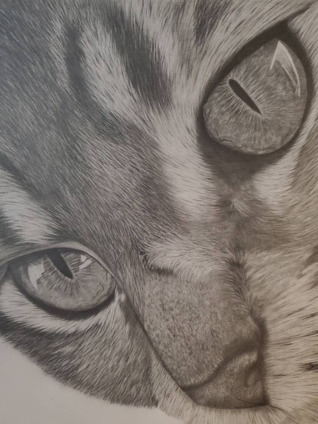 Hand Drawn Pet Portrait | Custom Pet Portrait | Pencil Sketch Pet ...