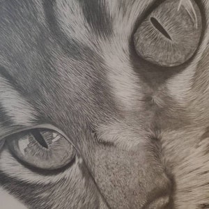 Hand Drawn Pet Portrait | Custom Pet Portrait | Pencil Sketch Pet Portrait | Graphite Pet Gift