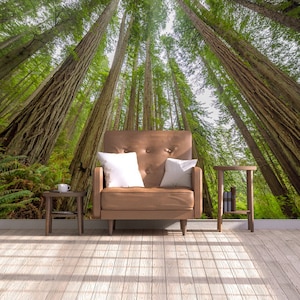 Sequoia Forest Mural,Redwood national and state parks Mural,Giant Trees Wallpaper,Self Adhesive ,Peel and Stick, Living room wallpaper