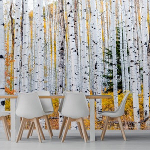 Espen Bäume entfernbare Stofftapete, Schälen und Kleben, selbstklebend, Baumstämme Wald Wandbild Kinderzimmer Tapete