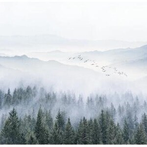 Puede incluir: Una escena de bosque brumoso con una bandada de p&aacute;jaros volando sobre una cordillera. Los &aacute;rboles est&aacute;n cubiertos de niebla, creando una atm&oacute;sfera de ensue&ntilde;o y et&eacute;rea.