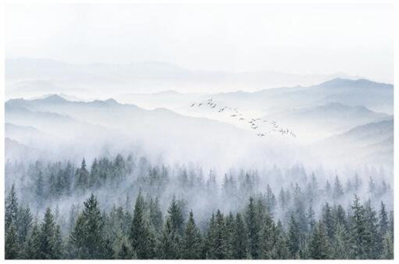 Puede incluir: Una escena de bosque brumoso con una bandada de p&aacute;jaros volando sobre una cordillera. Los &aacute;rboles est&aacute;n cubiertos de niebla, creando una atm&oacute;sfera de ensue&ntilde;o y et&eacute;rea.
