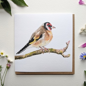 Cartão de saudação em branco com aquarela de pássaro pintassilgo
