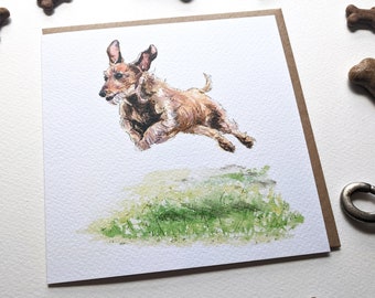 Sausage Dog Wire Haired Dachshund Blank Greeting Card