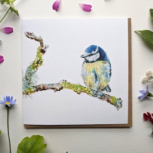 Carte de voeux vierge mésange bleue
