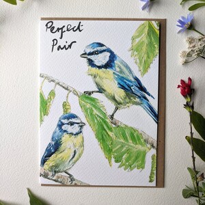 Carte de voeux vierge mésange bleue