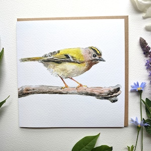 Cartão de felicitações em branco com aquarela de pássaro Goldcrest