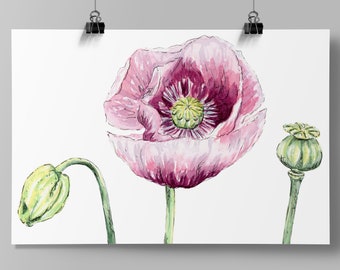 Poppies watercolour Art Print, vintage florals, Original Watercolour Painting