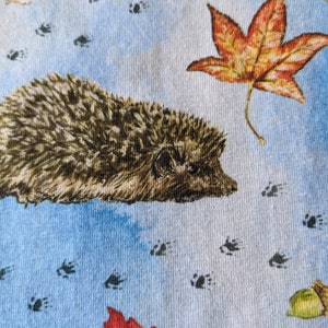 May include: A close-up of a brown and gray hedgehog on a blue background with brown footprints and a red and orange leaf.
