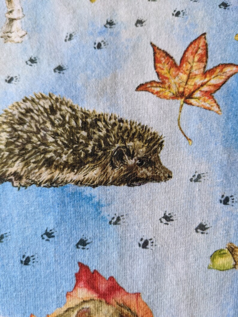 May include: A close-up of a brown and gray hedgehog on a blue background with brown footprints and a red and orange leaf.