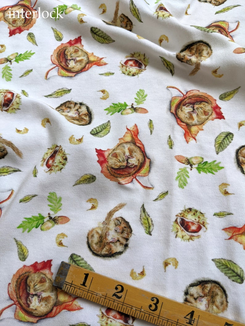 May include: White fabric with a repeating pattern of sleeping dormice curled up in autumn leaves and chestnuts. The fabric is measured with a wooden ruler.