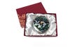 Mother of Pearl Compact Mirror: Moon & Crane Green Stainless Steel product logo
