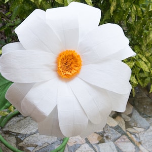 Margherita gigante in piedi, decorazione per navata centrale nuziale, fondale con fiori selvatici di grandi dimensioni, vetrina di un negozio