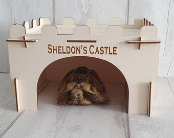 Personalised Tortoise house.