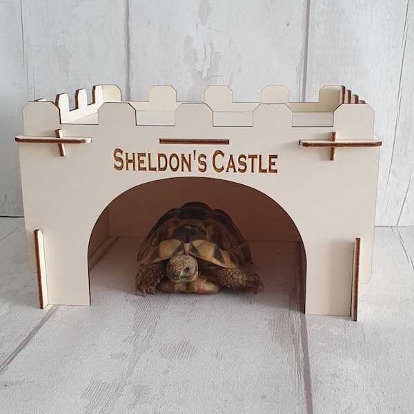 Personalised Tortoise house.