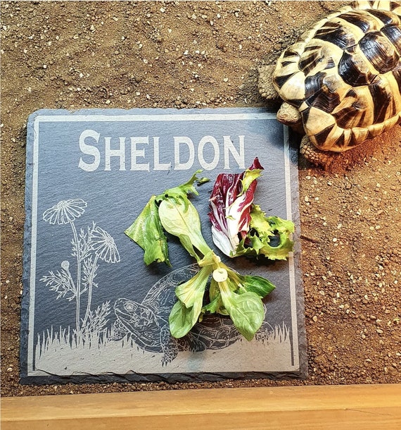 Hperu Reptile Basking Aquarium Slate Rept