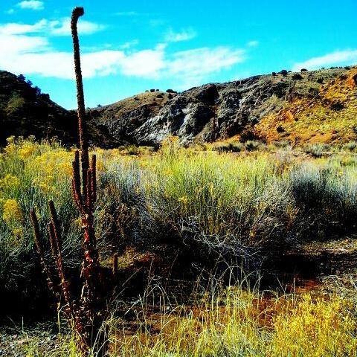 Los Cerrillos New Mexico Desert Landscape Photography Etsy