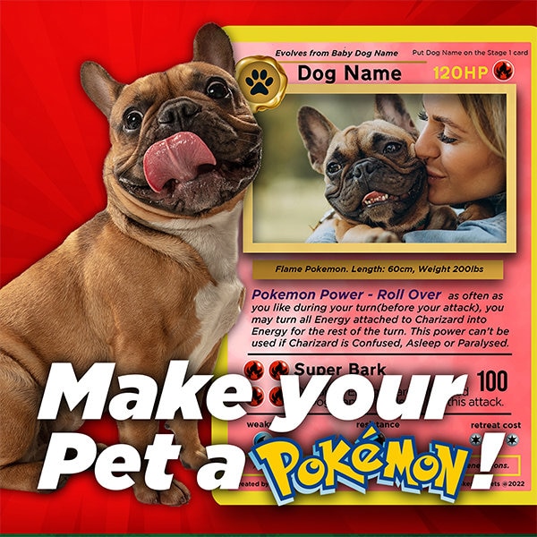 Make Your Pet A Pokemon Custom Pokemon Cards x14cm Etsy Make Your Pet A Pokemon Custom Pokemon Cards x14cm Etsy