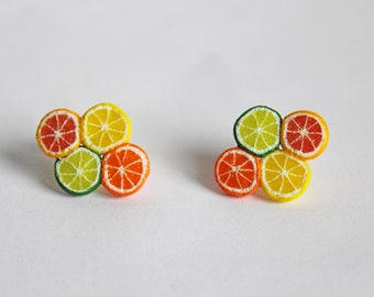 Citrus Fruit Bunch Stud Earring! Polymer Clay, Stud Earrings, Polymer Clay Earrings, Citrus Jewelry, Citrus Earrings, Food Jewelry