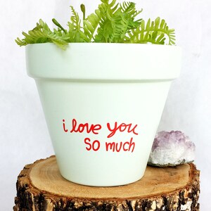 May include: A white ceramic planter with the words "i love you so much" written in red. The planter is filled with green ferns and is sitting on a stack of wooden slices.