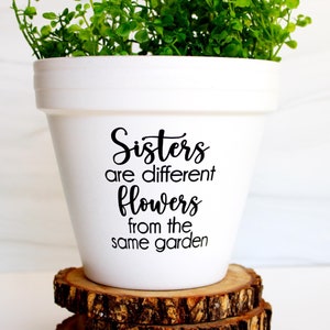 Sisters are different flowers from the same garden | sister gift | gift for sister | sister birthday gift | custom planter | sister in law