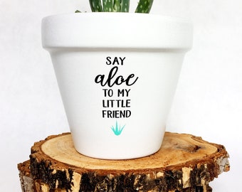 May include: White ceramic planter with the text "Say aloe to my little friend" and a small turquoise aloe plant graphic. A green aloe plant is growing in the planter, which is sitting on a stack of wooden rounds.
