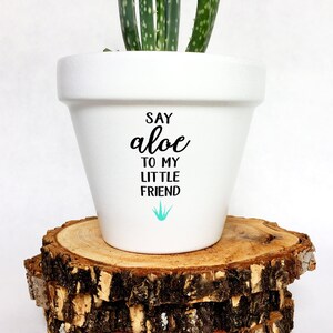 May include: White ceramic planter with the text "Say aloe to my little friend" and a small turquoise aloe plant graphic. A green aloe plant is growing in the planter, which is sitting on a stack of wooden rounds.