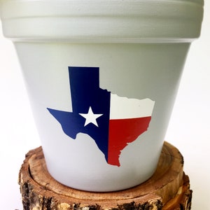 May include: A gray terracotta pot with a white outline of the state of Texas painted on it. The Texas outline is filled with the colors of the Texas flag: blue, white, and red. The pot is sitting on a wooden slice.