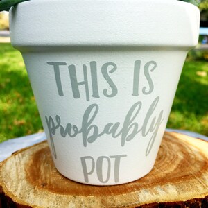 May include: White ceramic pot with the text "This is probably pot" in gray lettering. The pot is filled with a green succulent plant.