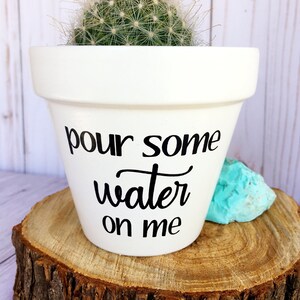 May include: White ceramic planter with the text "pour some water on me" in black lettering. A small cactus with a pink flower is planted in the pot.