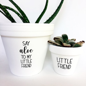 May include: Two white ceramic plant pots with black text. The larger pot has an aloe vera plant, and the text reads "SAY aloe TO MY LITTLE FRIEND." The smaller pot has a succulent and reads "LITTLE FRIEND."