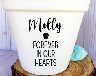 May include: White ceramic planter with the name "Molly" and the text "Forever in our hearts" with a paw print symbol. The planter is filled with green plants and is sitting on a wooden surface.