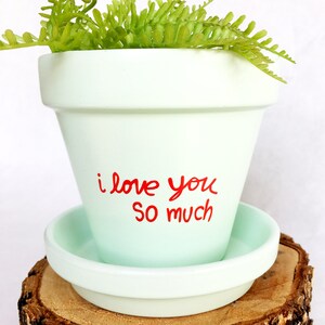 May include: A light green terracotta planter with a saucer, featuring the handwritten message "i love you so much" in red paint. The planter is filled with a green fern plant.