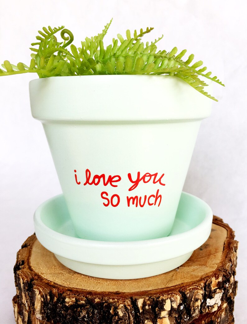 May include: A light green terracotta planter with a saucer, featuring the handwritten message "i love you so much" in red paint. The planter is filled with a green fern plant.