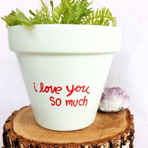May include: A white ceramic planter with the words "i love you so much" written in red. The planter is filled with green ferns and is sitting on a wooden slice.