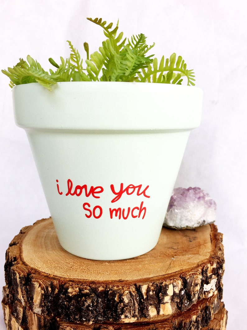 May include: A white ceramic planter with the words "i love you so much" written in red. The planter is filled with green ferns and is sitting on a wooden slice.
