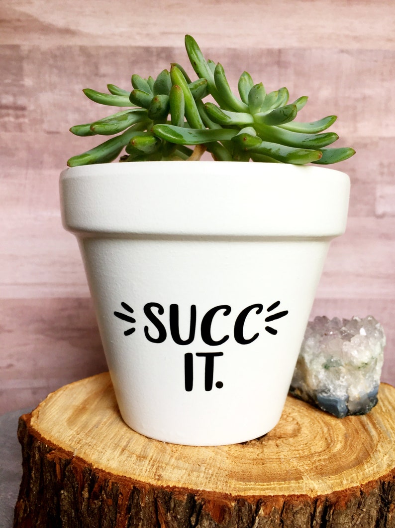 Succ It Plant Pun Succulent Succulent Pot Funny Flower Etsy