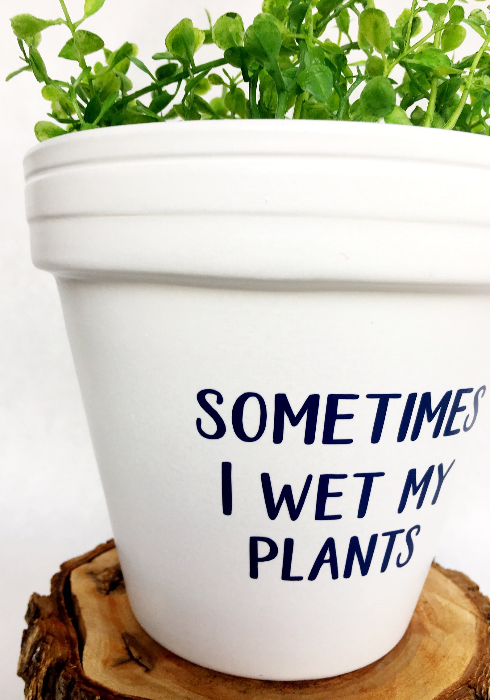 Sometimes I Wet My Plants I Wet My Plants Funny Flower Pot Etsy