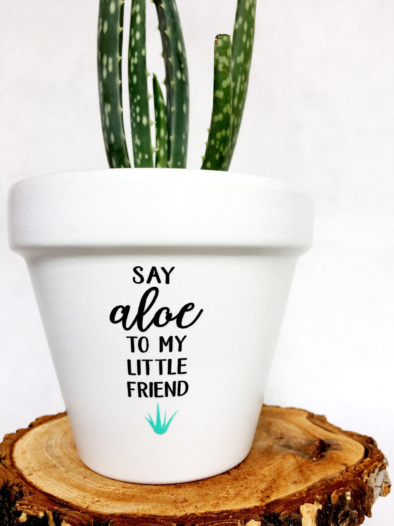 Say Aloe to My Little Friend Cute Flower Pot Funny Flower Etsy