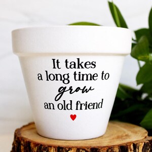 May include: A white ceramic plant pot featuring the black printed text "It takes a long time to grow an old friend" with a small red heart icon centered below the text. The pot has a wide rim and a tapered base.