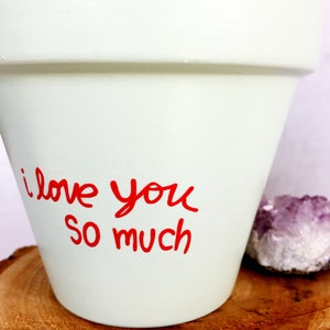 May include: White ceramic planter with the words "I love you so much" written in red. The planter is sitting on a wooden surface.