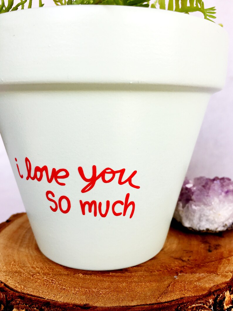 May include: White ceramic planter with the words "I love you so much" written in red. The planter is sitting on a wooden surface.