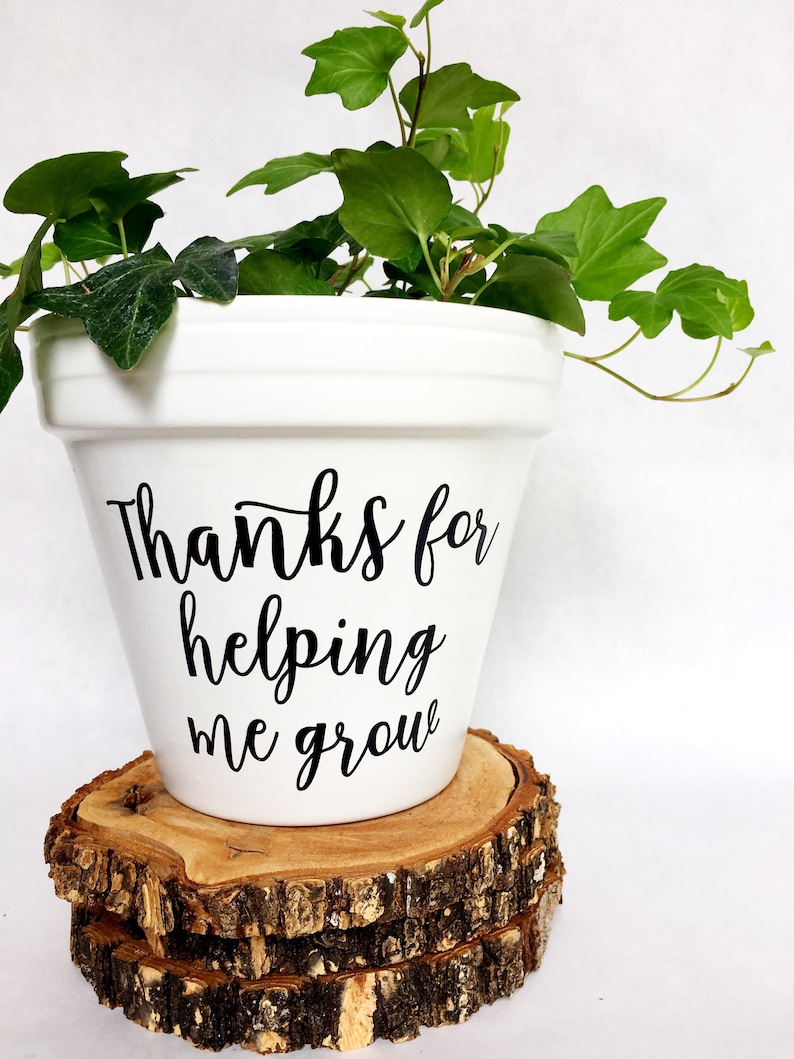 thanks for helping me grow flower pot teacher gift plant pun gift for teacher class gift teacher appreciation Knox Pots pot image 3