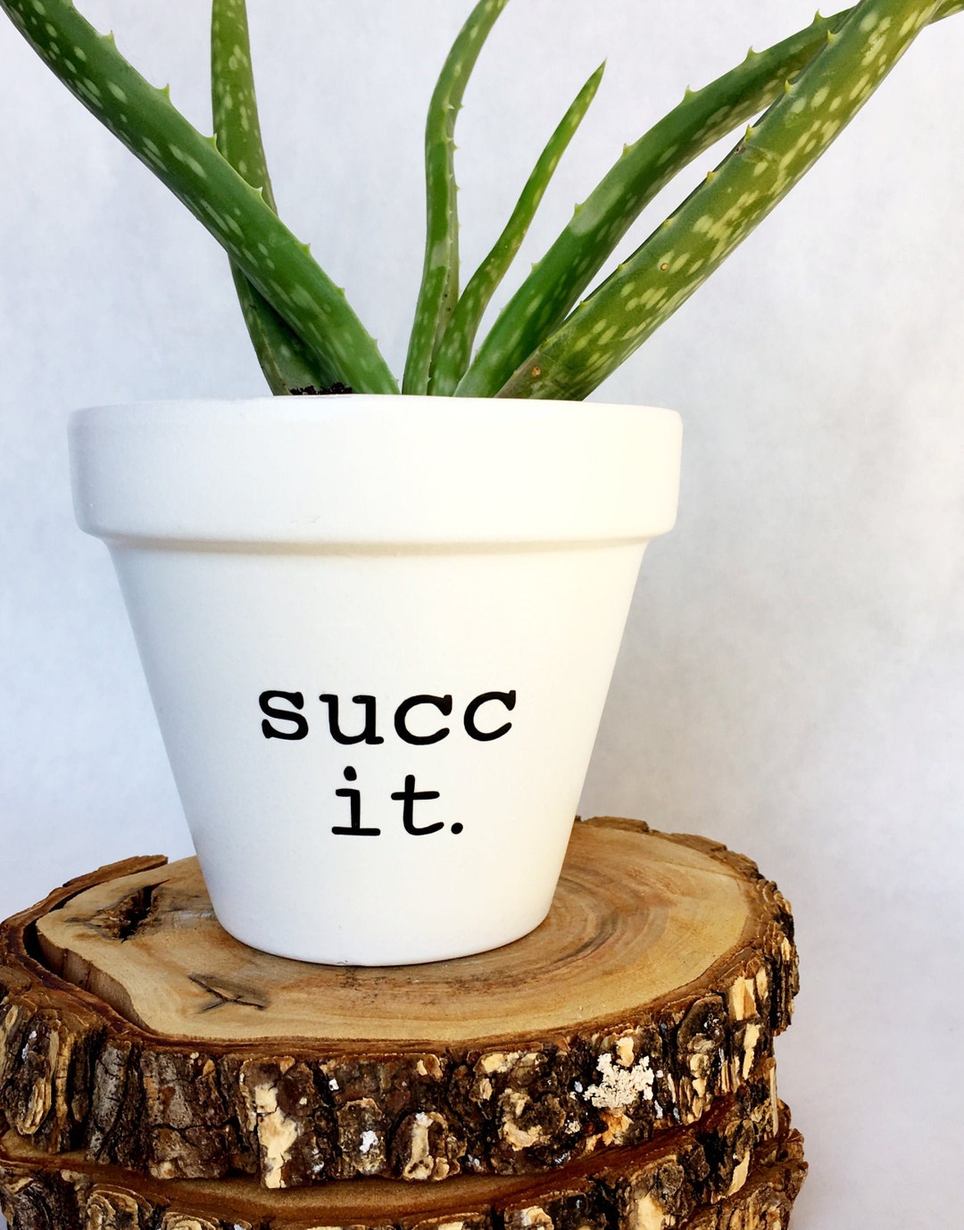 Succ It - Plant Pun - Succulent - Punny Pot - Funny Gift - Funny Plant ...