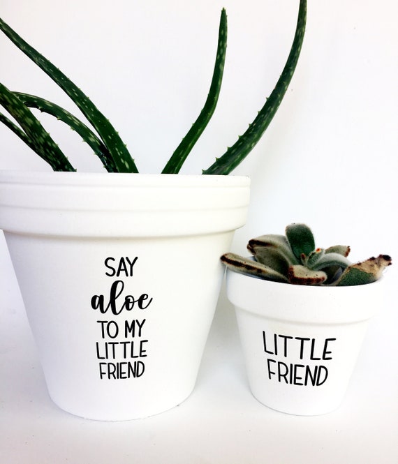 Say Aloe to My Little Friend and Little Friend, Planter, Gardening Gift,  Funny Planter, Say Aloe to My Little Friend, Plant Pot, Planter - Etsy