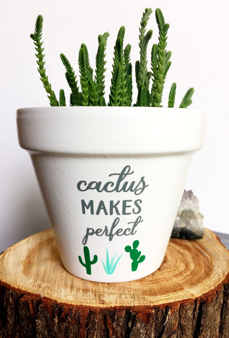 Cactus Makes Perfect Pot Plant Pun Cute Flower Pot Funny